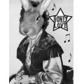 ho%20cowgirl%20copy%20copy.jpg